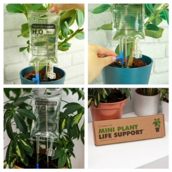 PS: Mini plant life support